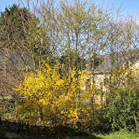 Maison Spacieuse Avec Jardin A *